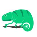 Chameleon IT Service logo